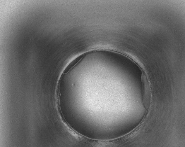 X0000068311056200604281730