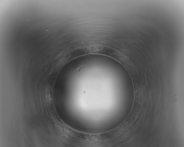 X0000068311058200604281730