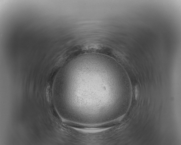 X0000068311059200604281730