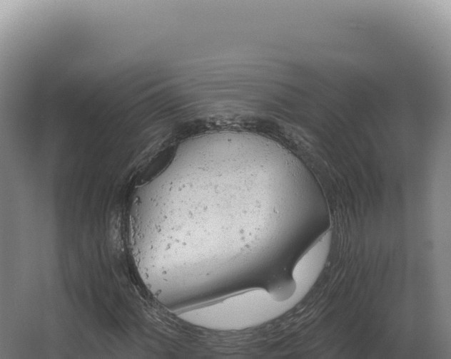 X0000068311060200604281730