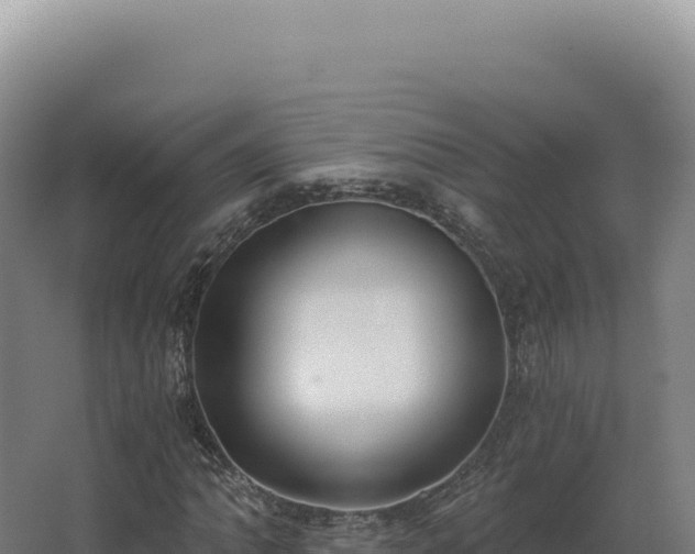 X0000068311062200604281730