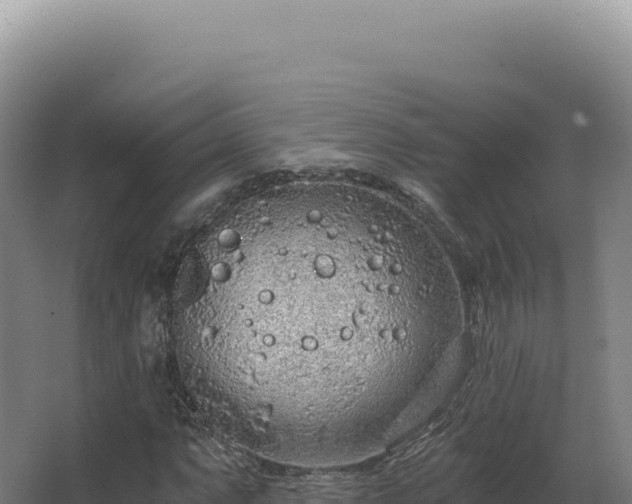 X0000068311063200604281729