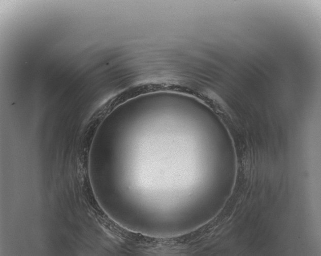 X0000068311064200604281729