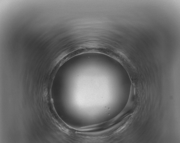 X0000068311065200604281729