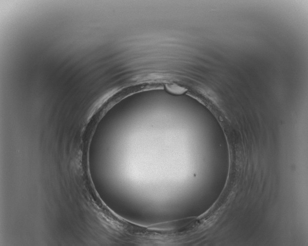 X0000068311066200604281729