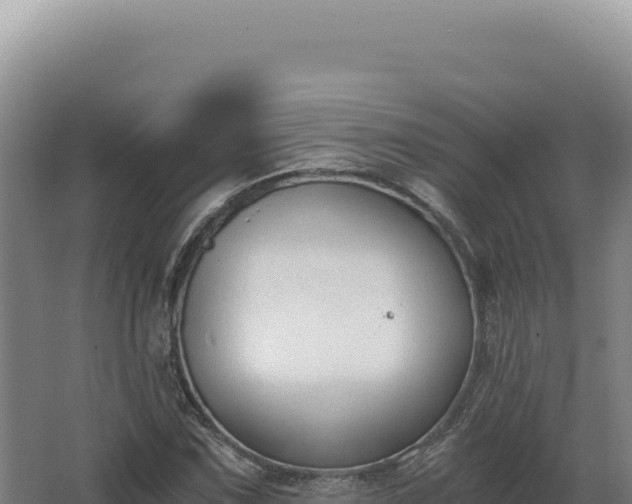 X0000068311067200604281729