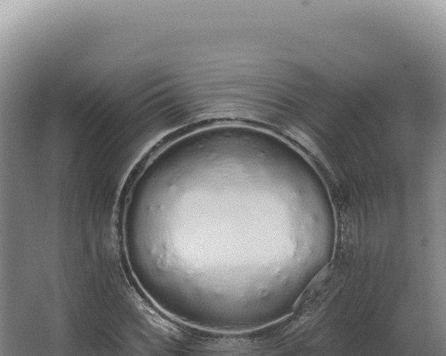 X0000068311068200604281729