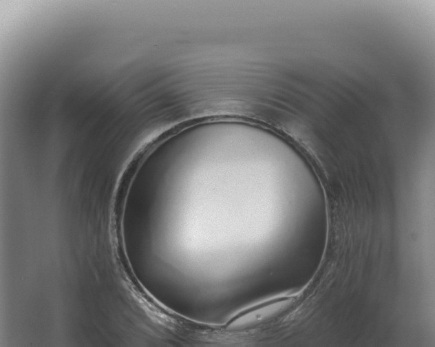 X0000068311072200604281729