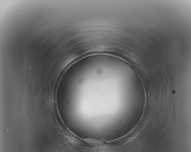 X0000068311073200604281729