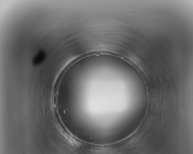 X0000068311076200604281729