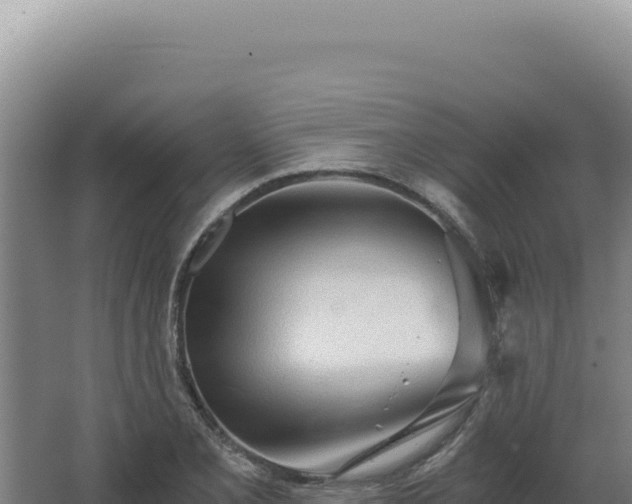 X0000068311077200604281729