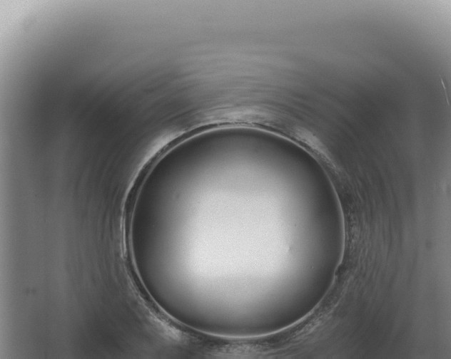 X0000068311079200604281729