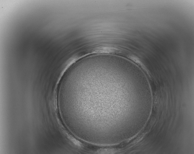 X0000068311083200604281729