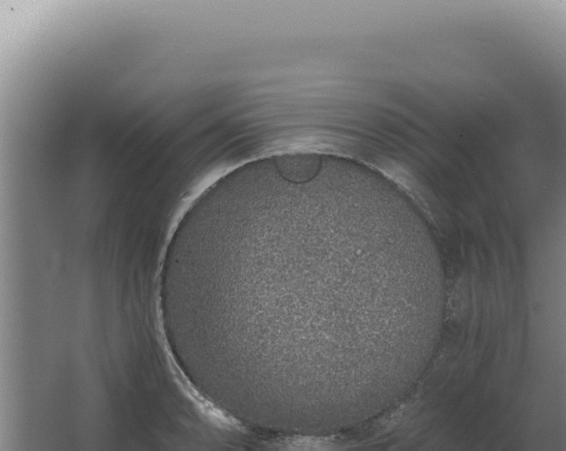 X0000068311086200604281729