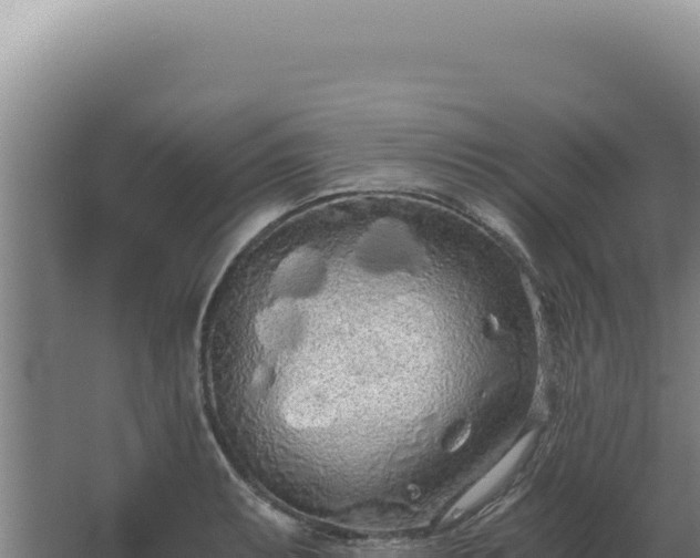 X0000068311087200604281729