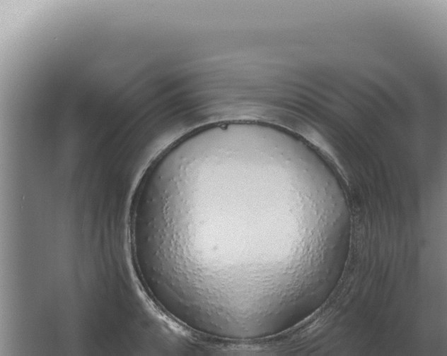 X0000068311088200604281729