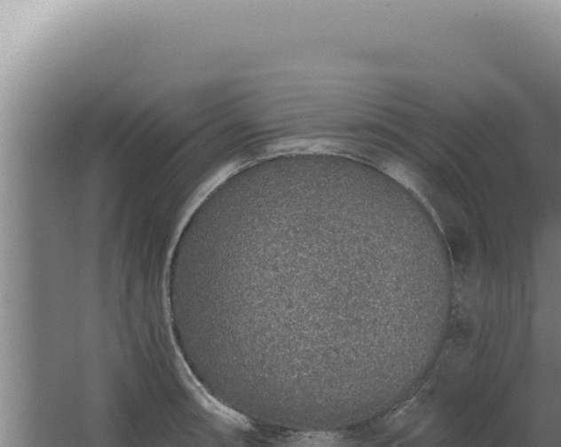 X0000068311090200604281729