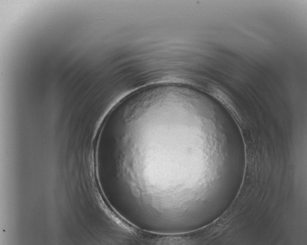 X0000068311092200604281729