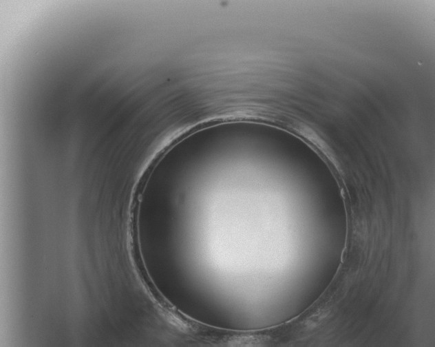 X0000068311093200604281729