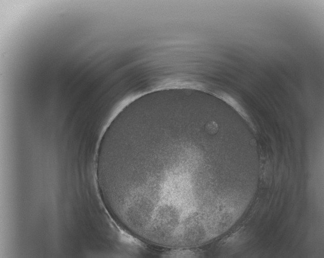 X0000068311094200604281729