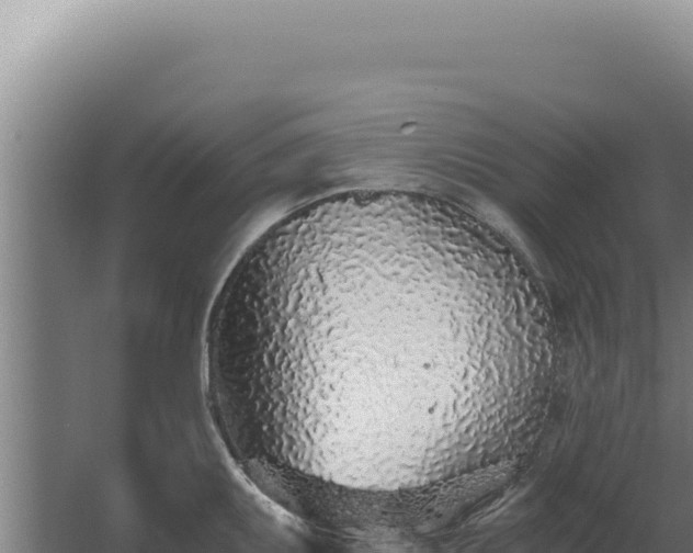 X0000068311095200604281729