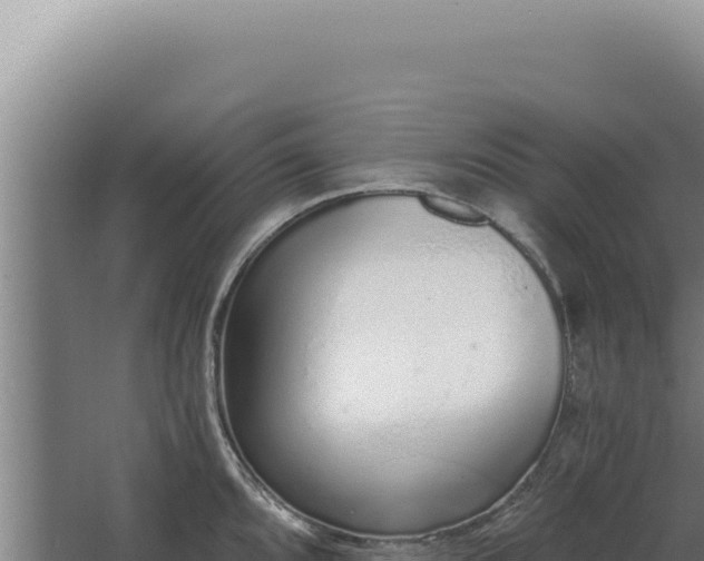 X0000068311096200604281729