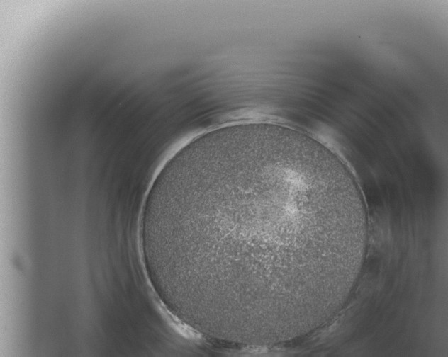 X0000068311098200604281729