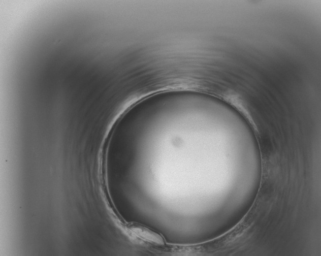 X0000068311099200604281729