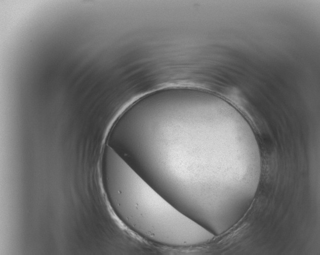 X0000068311100200604281729