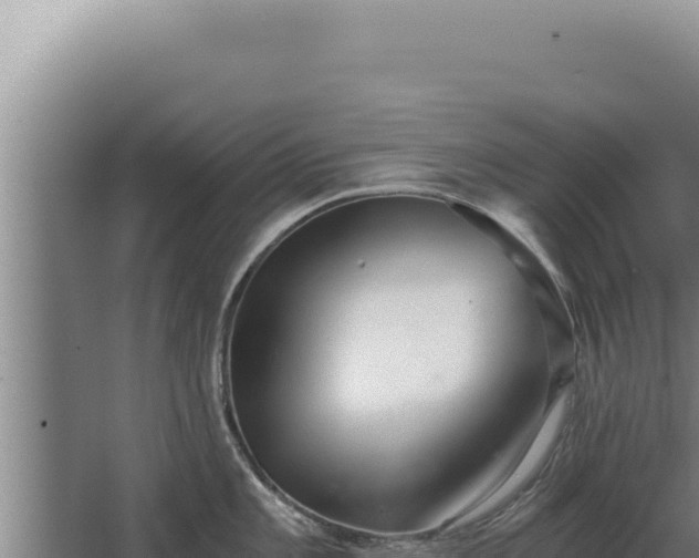 X0000068311101200604281729