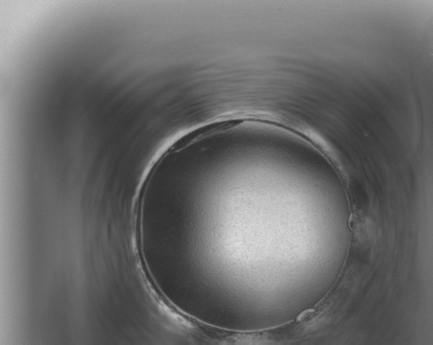 X0000068311102200604281729