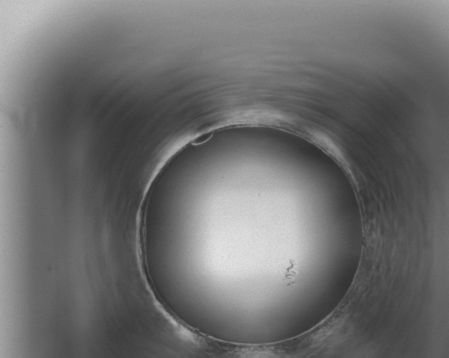 X0000068311103200604281729