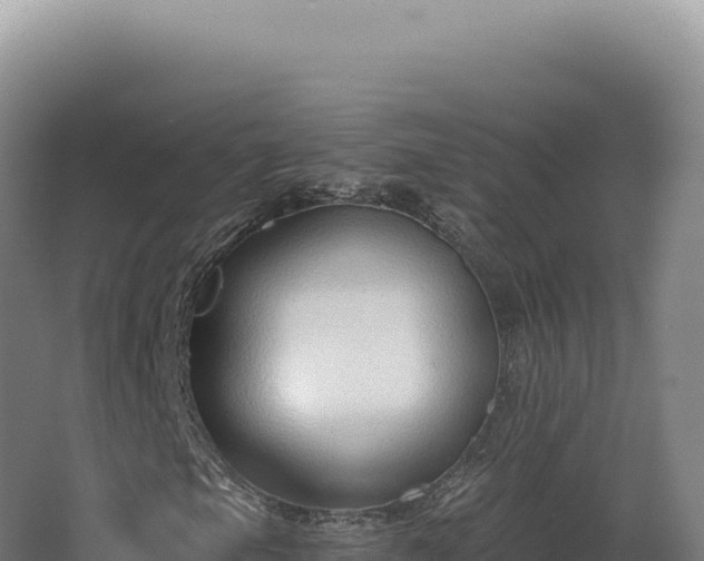 X0000068311105200604281728