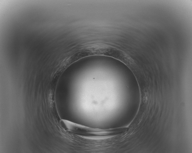 X0000068311108200604281728