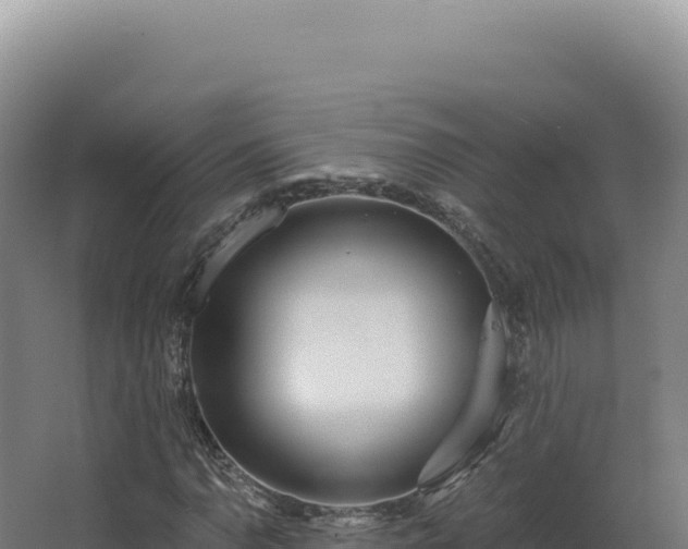 X0000068311110200604281728