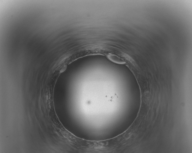 X0000068311111200604281728