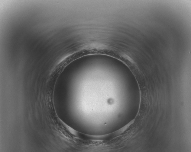 X0000068311112200604281728