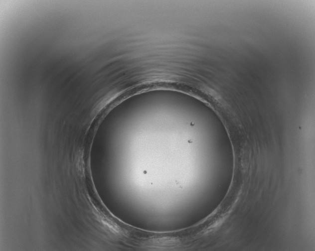 X0000068311113200604281728