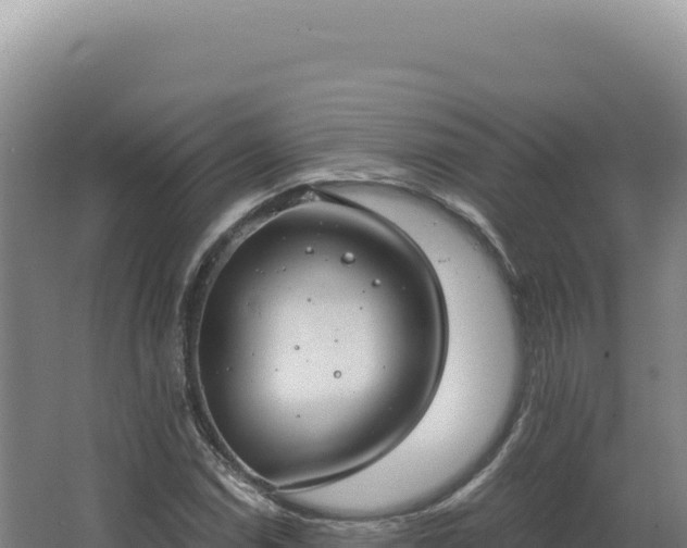 X0000068311114200604281728