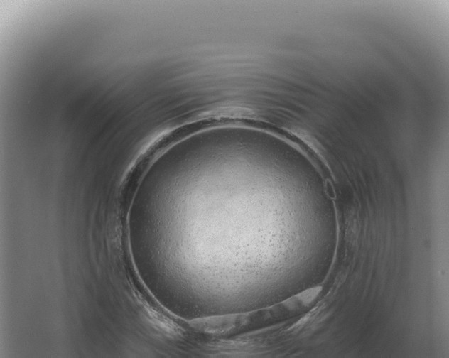 X0000068311115200604281728