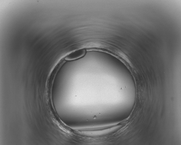 X0000068311116200604281728