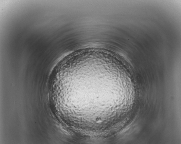 X0000068311117200604281728