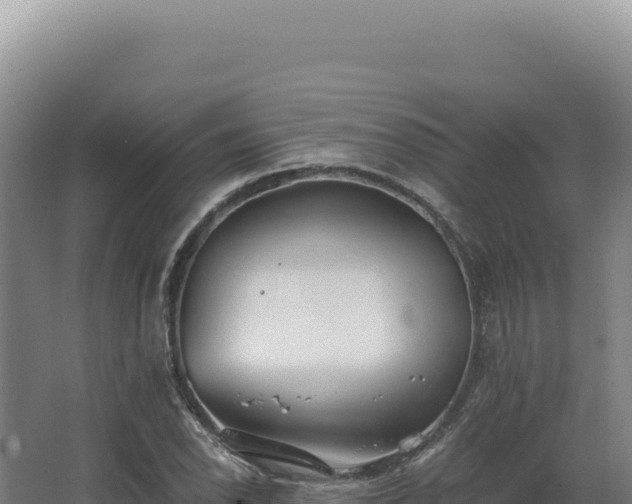 X0000068311118200604281728