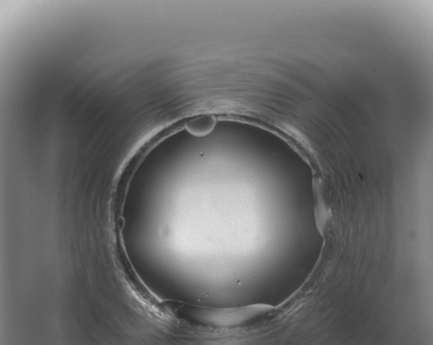 X0000068311120200604281728