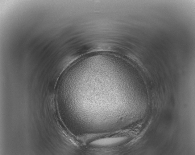 X0000068311121200604281728