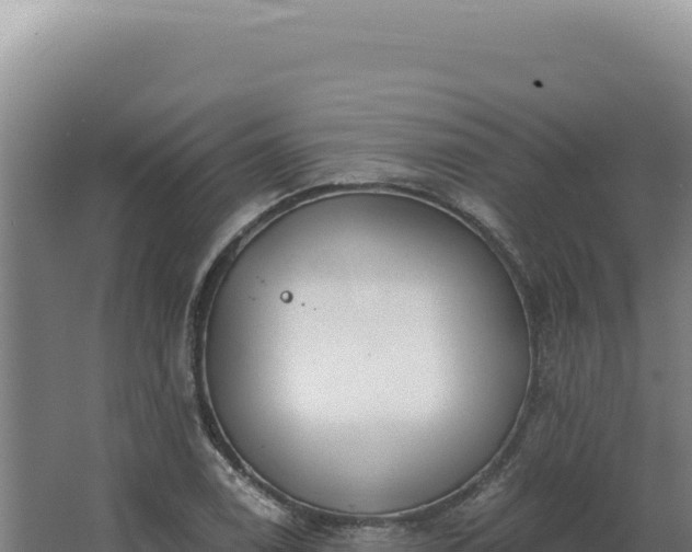 X0000068311122200604281728