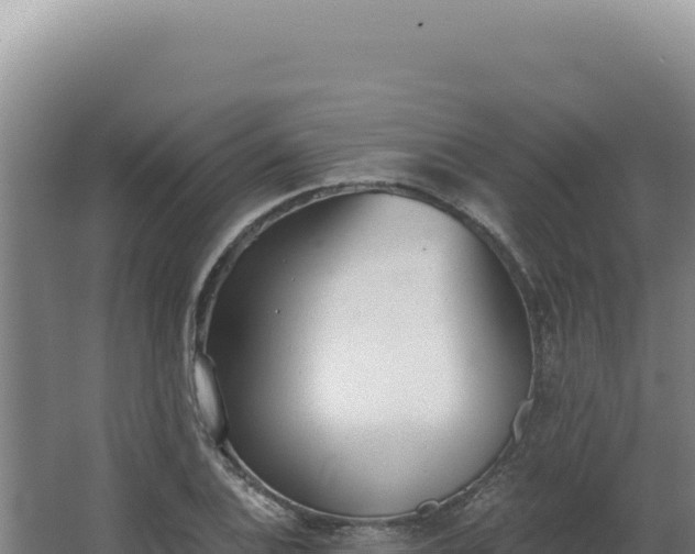 X0000068311124200604281728