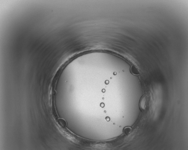 X0000068311126200604281728