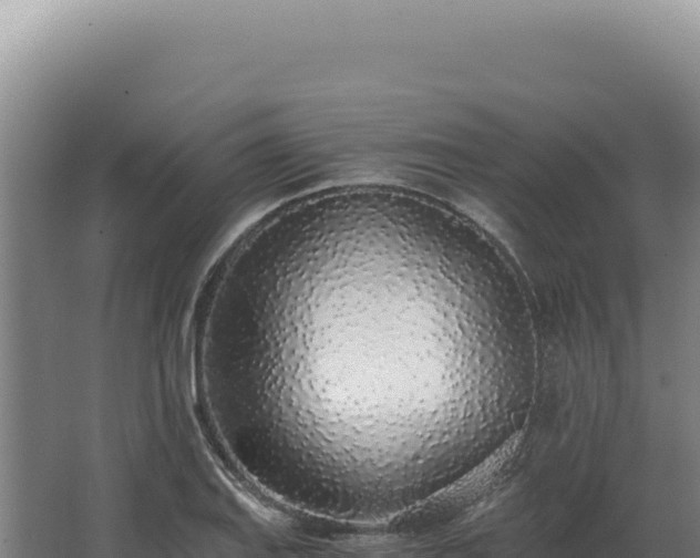 X0000068311127200604281728