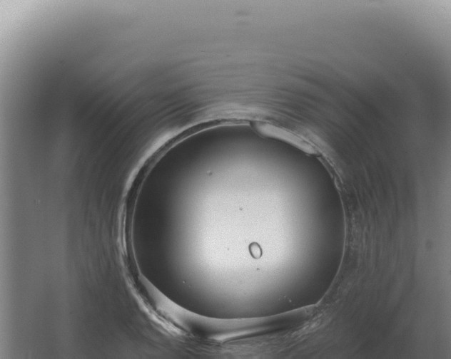 X0000068311128200604281728